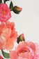 Rochie din stofa alba midi tip creion cu spatele decupat si imprimeu floral - StarShinerS 5 - StarShinerS.ro